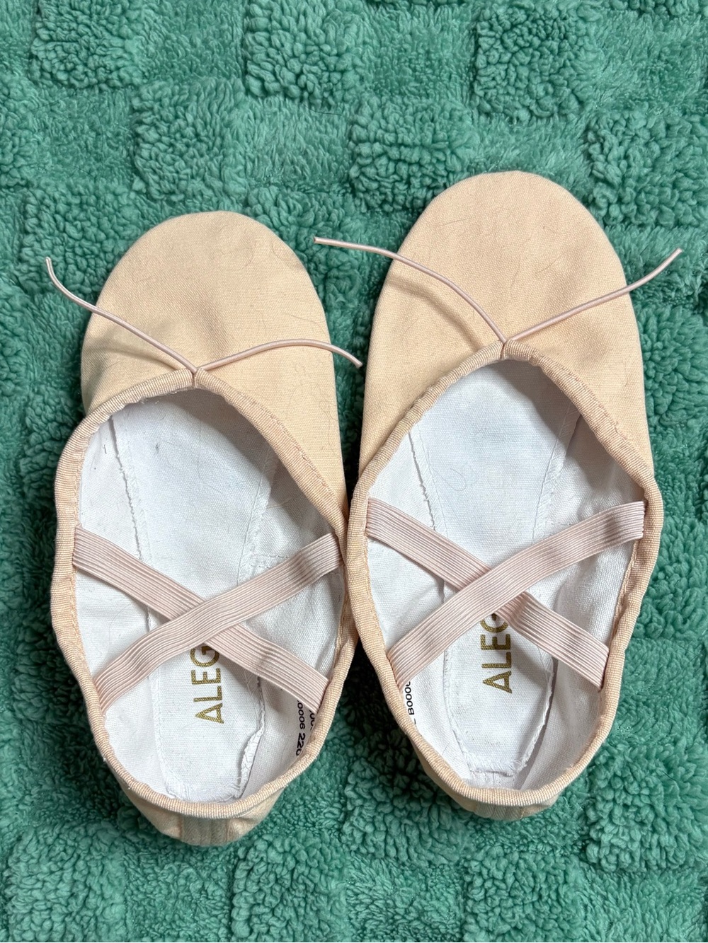 Ballet Flats in Blush Pink
